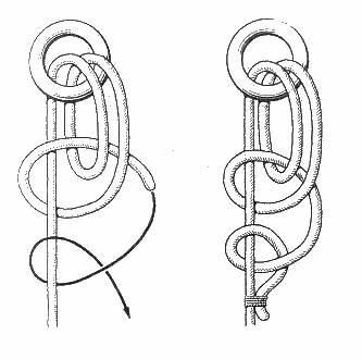 ������� �������� ����