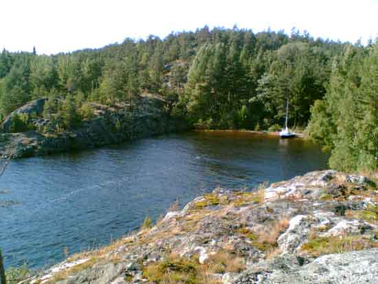 ������ ����� �� �������� ���� �� ������